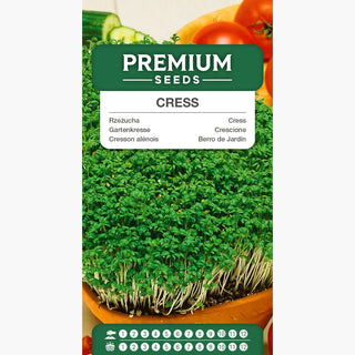 Cresson Alénois - Source de vitamines, ajout rafraîchissant pour les sandwiches - Lepidium sativum