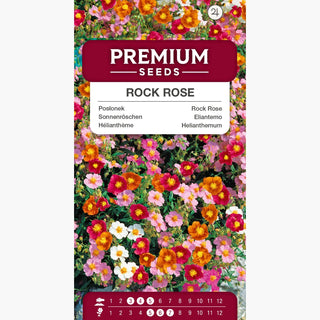 Hélianthème Mélange - Tapis de fleurs persistantes, résistantes au gel - Helianthemum nummularium Mutabile