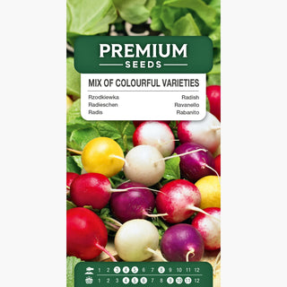 Radis - Mélange de Colorées - Mélange coloré exquis pour sublimer les salades