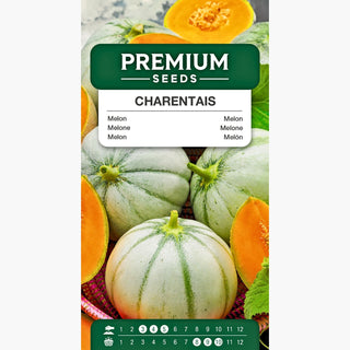 Melon Charentais - Aromatique et rafraîchissant, culture facile ! - Cucumis melo