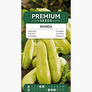 Courgette Wanda - Variété précoce idéale pour le grill et les salades - Cucurbita pepo