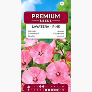Lavatère - Rose - Spectaculaire, dense et facile à cultiver - Lavatera trimestris