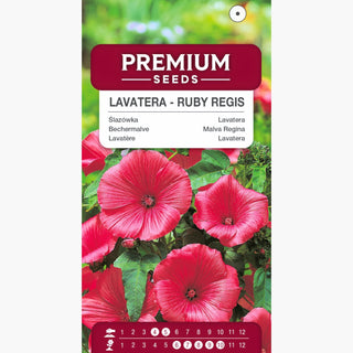 Lavatère - Ruby Regis - Grandes fleurs spectaculaires pour massifs - Lavatera trimestris