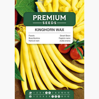 Haricot nain - Kinghorn Wax - Claires, sans fil, gousses fermes
