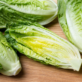 Laitue Romaine - Parris Island Cos - Croquantes, longues feuilles, saveur intense