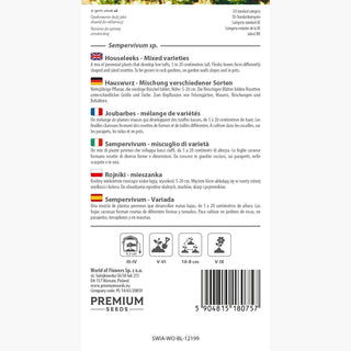 Joubarbes - Mélange de Variétés - Ornement pour conteneurs, résistante au gel - Sempervivum sp.
