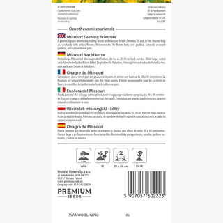 Onagre du Missouri - Rampante, ornementale, plante vivace pour talus - Oenothera missouriensis