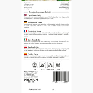 Chou-fleur Delta - Récoltes rapides, poids des têtes jusqu'à 1 kg ! - Brassica oleracea var. botrytis