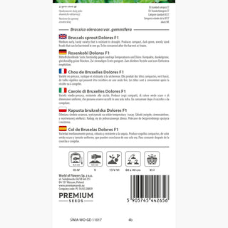 Chou de Bruxelles Dolores F1 - Résistante à la sécheresse, excellente pour soupes et salades !