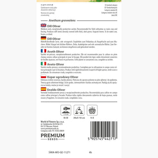 Aneth Oliver - Extrêmement productif, excellent pour séchage et congélation