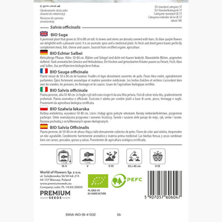 BIO Sauge officinale - Parfum intense, vivace et résistante - Salvia officinalis