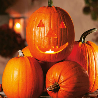 Pumpkin Jack O'Lantern - Ideal for Lanterns and Decorations, Fruits up to 10 kg - Premium Seeds