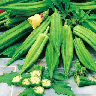 Okra Clemson Spineless - Perfect for Salads, Pickles, and Healthy Snacks - Hibiscus esculentus - Premium Seeds