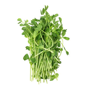 BIO Graines à germer - Pois Vert - Germination rapide - Vitamines en seulement 3 jours - Graines Premium