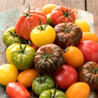 Tomate - mélange de variétés - Saveurs variées pour chaque occasion