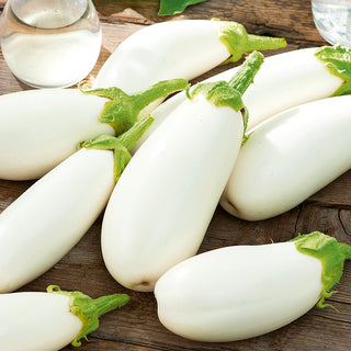 Aubergine Bianca Imolese - Précoce, résistante, blanche et sans amertume