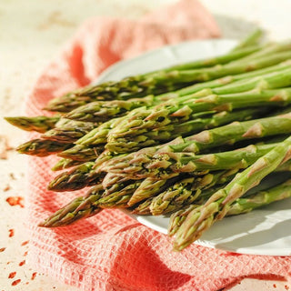 Asperge - Mary Washington - Traditionnelle, productive et savoureuse - Asparagus officinalis - Graines Premium