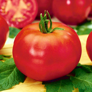 Betalux Tomato - Early Yield, Excellent Taste - Premium Seeds