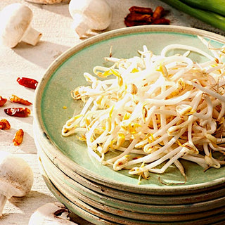 BIO Graines à germer - Haricot Mungo - Croquant incontournable de la cuisine asiatique - Graines Premium
