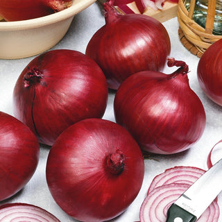 Oignon Karmen - Oignon rouge, parfait pour sublimer vos salades et sandwichs - Très grand sachet - 500 g