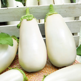 Aubergine Clara F1 - Chair tendre et crémeuse idéale pour la cuisson