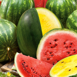 Pastèque - mélange de variétés - Mélange coloré de variétés aux fruits juteux