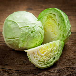 Chou cabus blanc Ditmarska - Variété précoce classique, tout simplement parfaite pour les salades