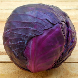 Chou cabus rouge - Mars - Rouge intense et croquante
