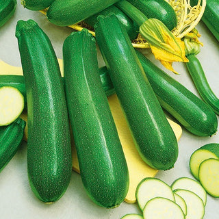 Courgette - Diamant F1 - Variété fiable pour le potager toute la saison