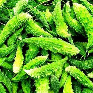 Margose - Fraîche et croquante parfaite pour les salades - Momordica charantia