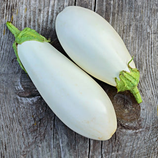 Aubergine White Egg - Forme unique, saveur douce