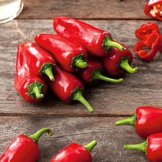 Piment Jalapeno - Classique, piquante au goût prononcé