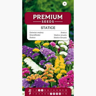 Statice Mélange - Explosion de couleurs florales - Limonium sinuatum