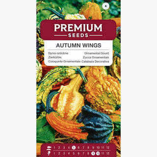 Coloquinte Ornementale Autumn Wings - Festin automnal pour les yeux, diversité de couleurs et formes !