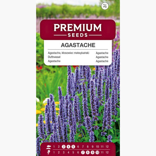 Agastache - Robuste, floraison tout l'été, épis lavande et blancs - Agastache mexicana