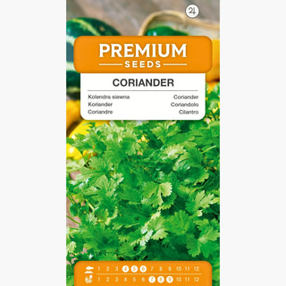 Coriandre - Culture facile, bienfaits pour la santé, épice indispensable - Coriandrum sativum