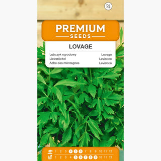Ache des Montagnes - Aphrodisiaque aromatique pour soupes et sauces - Levisticum officinale