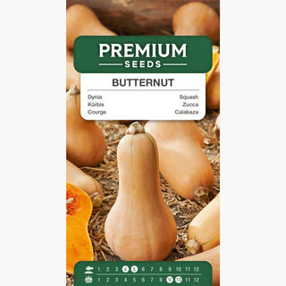 Courge Musquée Butternut - Exceptionnellement délicieuse et saine - Cucurbita moschata
