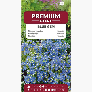 Némésia - Blue Gem - Idéale pour les pots et les massifs - Nemesia strumosa