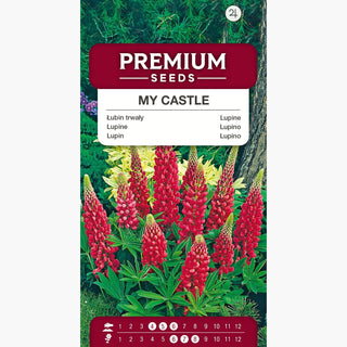 Lupin My Castle - Fleurs rouges en épis spectaculaires, idéales pour massifs - Lupinus polyphyllus
