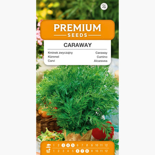Carvi - Résistance naturelle à 100%, épice indispensable en cuisine ! - Carum carvi