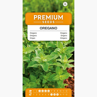 Origan - Odeur intense, goût incomparable - Origanum vulgare