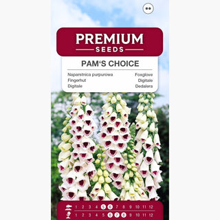 Digitale - Pam's Choice - Perle naturaliste des plantes ornementales - Digitalis purpurea