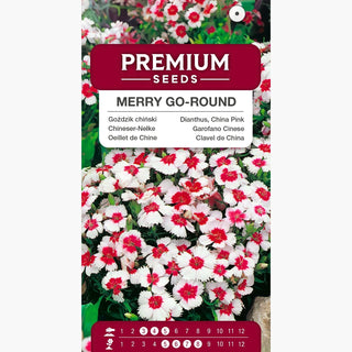 Oeillet de Chine - Merry Go-Round - Mélange joyeux pour tous les massifs - Dianthus chinensis