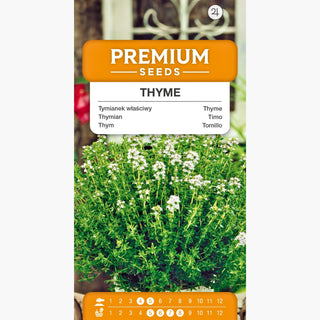 Thym - Aromatique, idéal pour les plats de viande - Thymus vulgaris