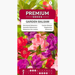 Balsamine des Jardins - Mélange - Annuelle, idéale pour massifs et pots - Impatiens balsamina