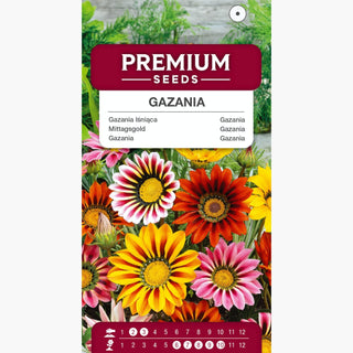 Gazania - Mélange - S’ouvrent en plein soleil - Gazania splendens