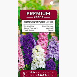 Pied D'alouette - Fleurs de Jacinthe - Nain Mélange - Plante compacte colorée vivace décorative - Delphinium ajacis