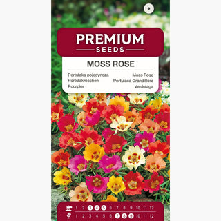 Pourpier Mélange - Fleurs spectaculaires, grandes fleurs pleines de 5 cm de diamètre ! - Portulaca grandiflora