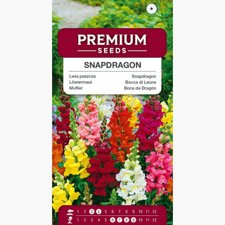 Muflier Mélange - Fleurs multicolores, idéales pour massifs et fleurs coupées - Antirrhinum majus